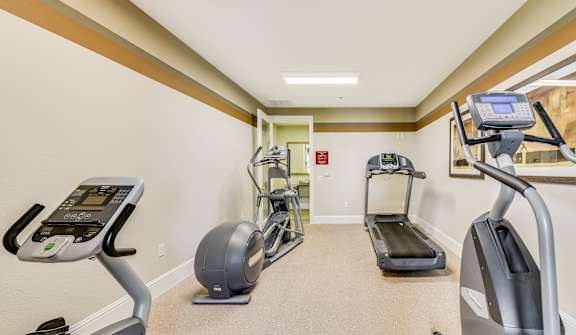 A gym with treadmills, elliptical machines, and a stationary bike.