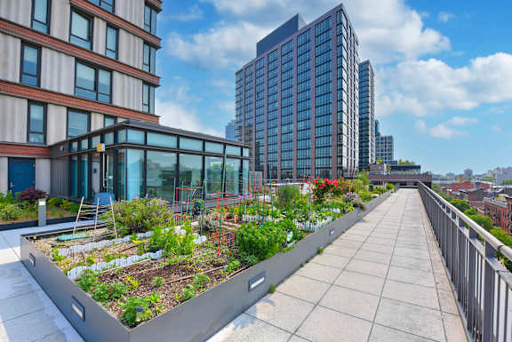 Rooftop Garden at 535 Carlton Ave Apartments, New York, 11238