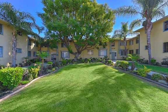 A tree in the middle of a grassy area in front of apartment buildings at Acclaim at Baldwin Apartments, California
