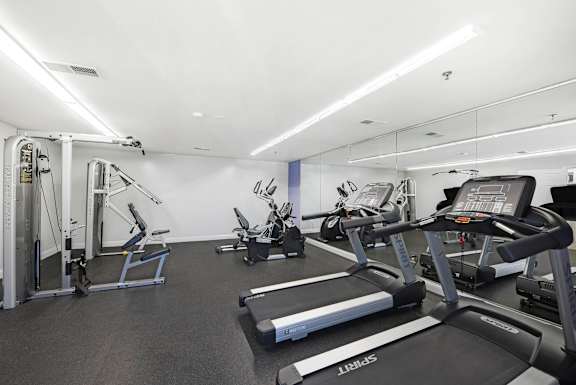 A gym with treadmills, weights, and exercise equipment at Acclaim at Sterling in Sterling, VA