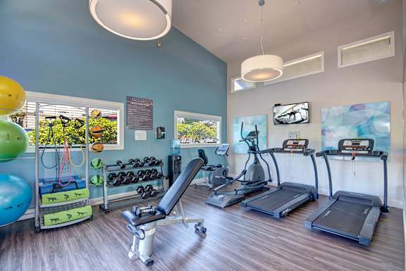 A gym with treadmills, exercise balls, and dumbbells.