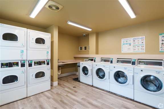 A row of washing machines are lined up in a laundromat.