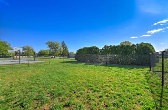 A grassy field with a fence and trees in the distance under a blue sky.