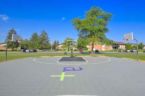 A basketball court with a purple and green symbol painted on the ground.