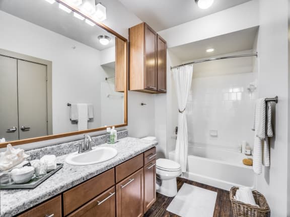our apartments offer a bathroom with a shower and tub