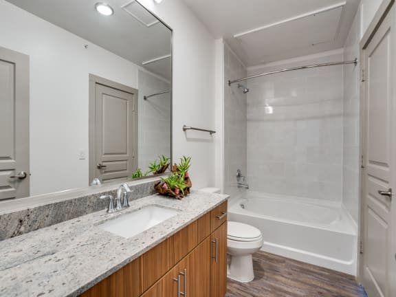 a bathroom with a sink and a toilet and a shower
