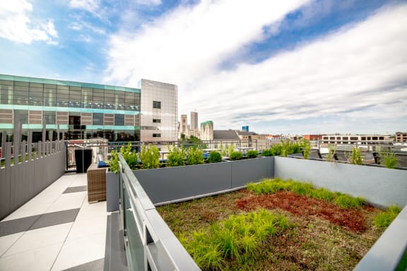 Enjoy Your Evenings In Rooftop Terrace Area at The Congress at Library Square, Indiana