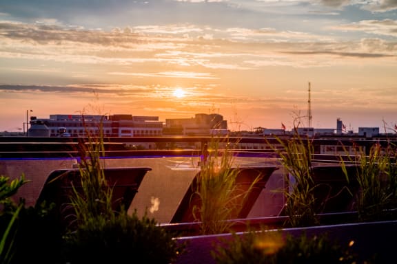 Sunset View at The Congress at Library Square, Indiana, 46204