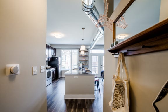 Spacious Kitchen With Pantry Cabinet at The Congress at Library Square, Indianapolis, IN, 46204