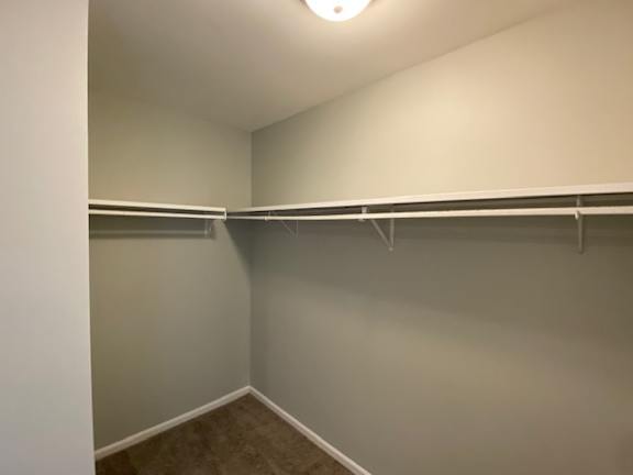 Walk-in Closet at Governor Square Apartments