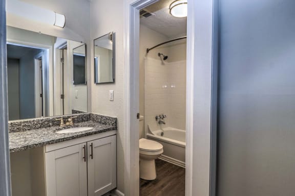 a bathroom with a sink and a toilet and a mirror