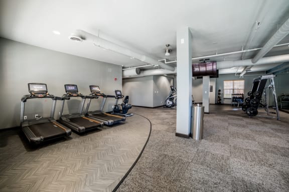 Fitness Center With Updated Equipment at Providence at Old Meridian, Carmel