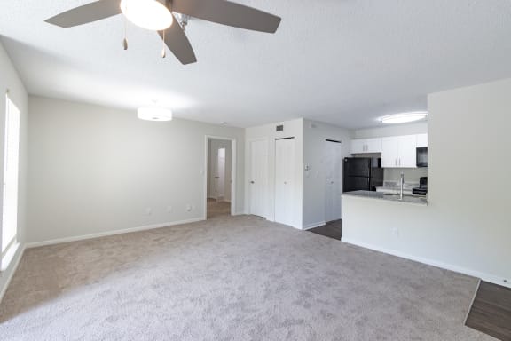 Plush Carpeting at The Residence at White River Apartments, Indianapolis, Indiana