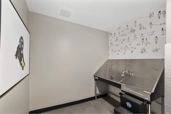 the laundry room has a stainless steel sink and a wall covered in martial arts drawings at The Winds at Poplar Creek Apartments , Schaumburg