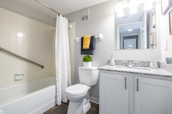 a bathroom with a toilet and a tub and a sink
