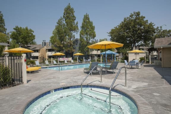 Pool  and spa with lounge chairs at THE EDGE Apartments, DAVIS