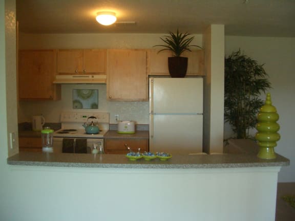 Kitchen with appliances at Hawk's Landing Apartments, Fort Myers 33907