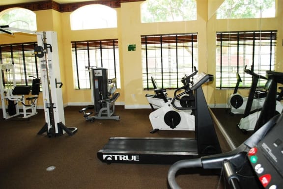 Gym with cardio and weight  fitness equipment