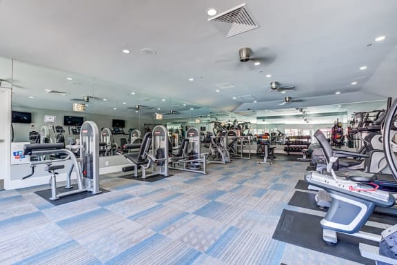 Gym with weights and cardio equipment