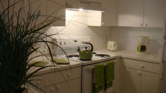 Stove in kitchen at Bernwood Trace Apartments, Florida, 33966