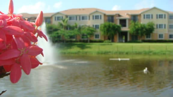 View of lake and buildings   at Bonita Pointe, Florida