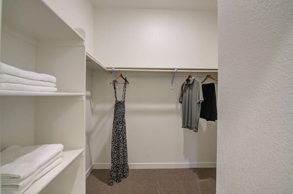 a walk in closet with a dress hanging on the wall