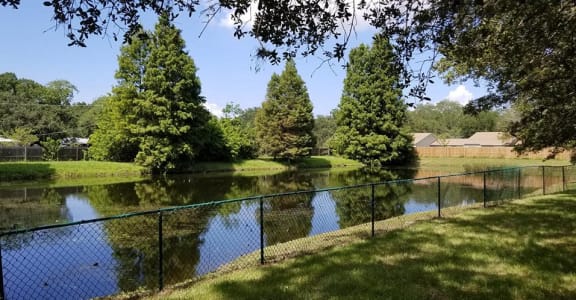 Fenced lake at Grove Pointe, Ruskin Florida