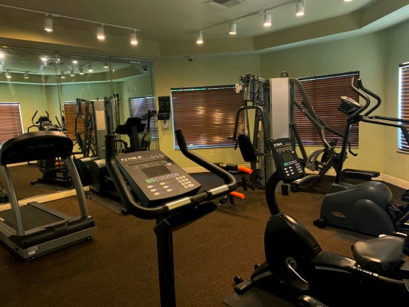 Renaissance fitness center with cardio and weight equipment