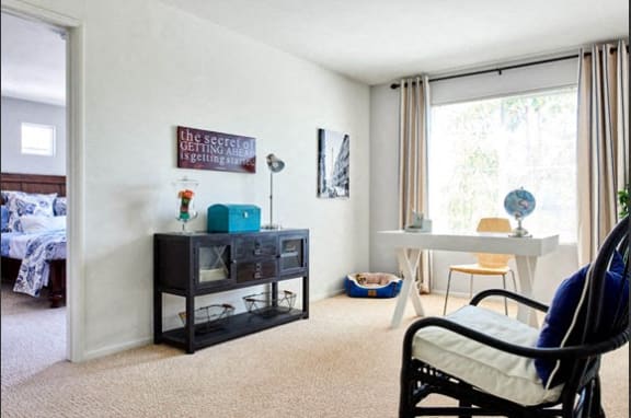 lots of natural light in apartment