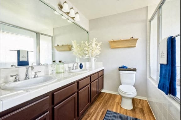 Dual Porcelain bathroom Sinks