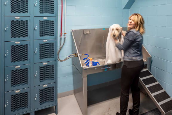 a woman bathing a dog in a kennel