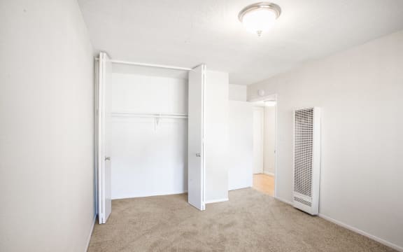Spacious closet