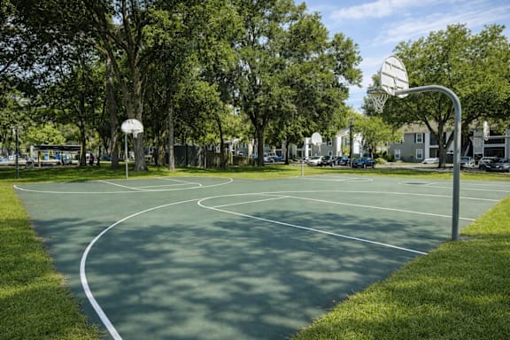 A basketball court is surrounded by trees and has a basketball hoop on the right side.