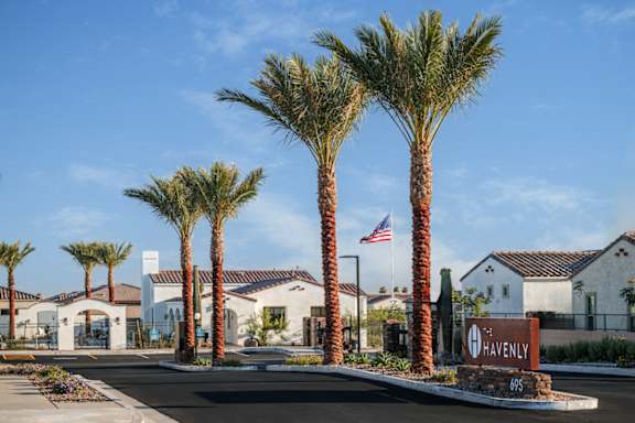A row of palm trees in front of a building with a sign that says Havenly.