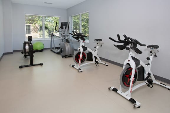 Hinton Height_Cottage Grove_MN gym with exercise bikes and weights in a gym
