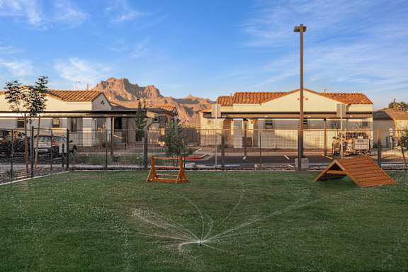 A playground with a sprinkler system in the middle of the grassy area.