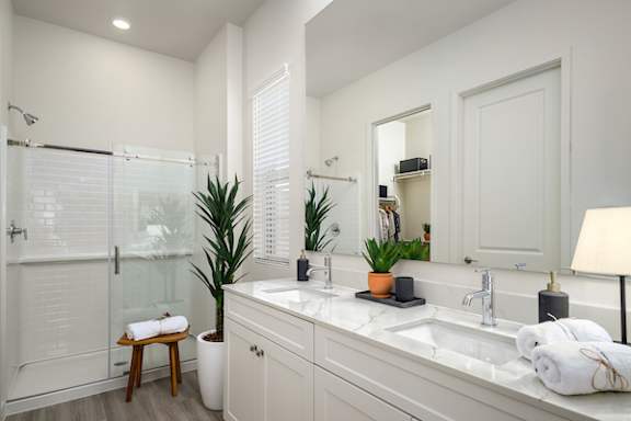 A bathroom with a white sink, a mirror, a potted plant, and a glass shower door.