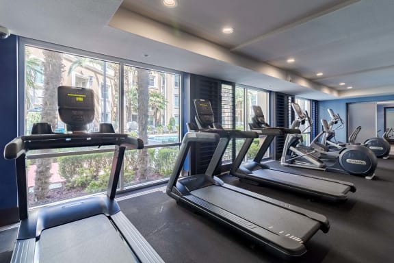 the gym is equipped with treadmills and other exercise equipment