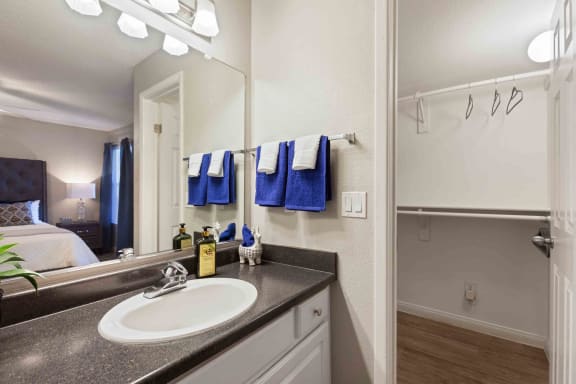 Spacious Walk In Closets