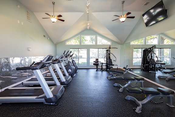 A gym with treadmills, elliptical machines, and a television.