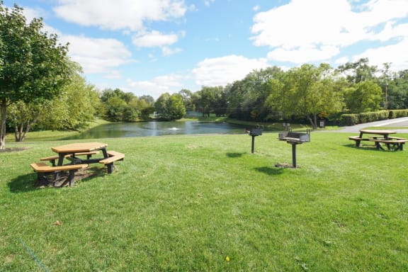 a park with picnic tables and a grill next to a lake