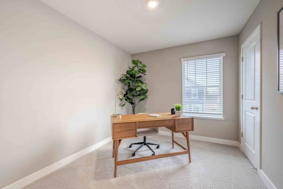A room with a desk and a plant.