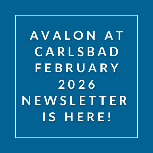 A blue poster announcing the Avalon at Carlsbad February 2026 newsletter.
