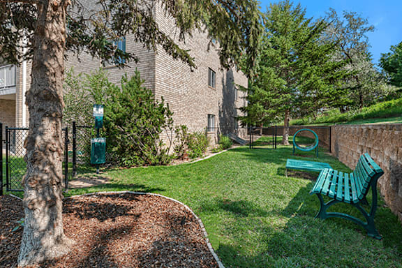 A park area with a bench and a tree.