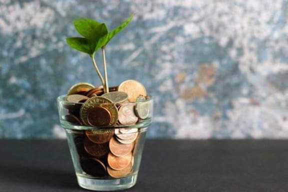 a glass cup filled with coins and a small plant