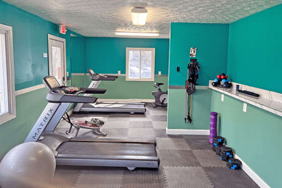 a home gym with a treadmill and weights