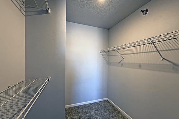 A walk-in closet with shelves and a carpeted floor.