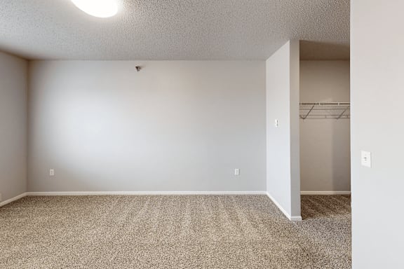 A room with a carpeted floor and a closet.