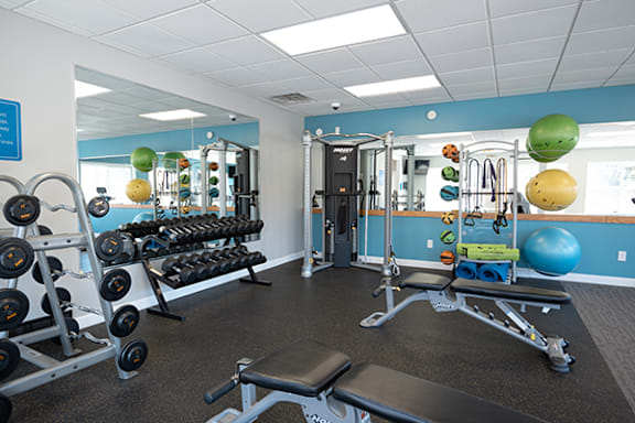 a gym with weights and other equipment in a building with blue walls