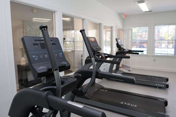 A row of True running machines in a gym.